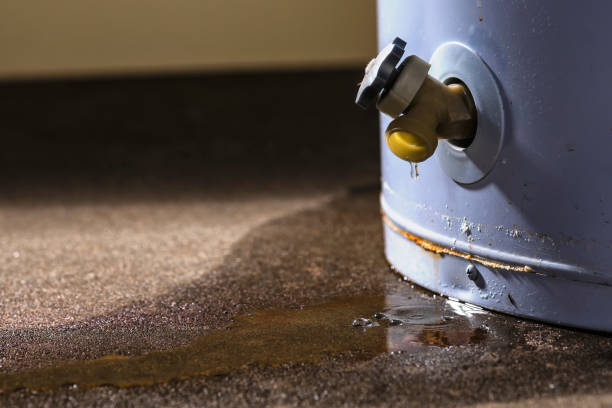 Best Residential water damage restoration  in Lake St Croix Beach, MN