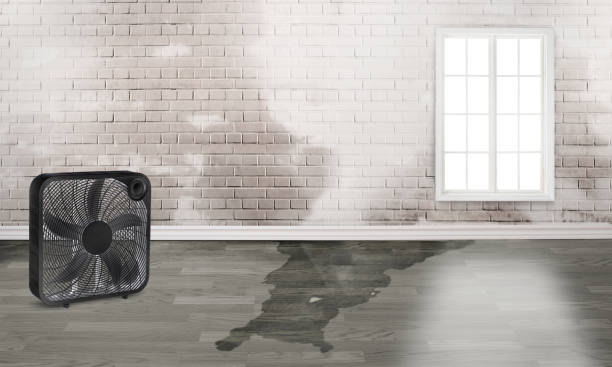 24/7 water damage repair in Lake St Croix Beach, MN