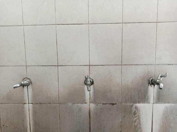 Carpet water damage restoration in Lake St Croix Beach, MN